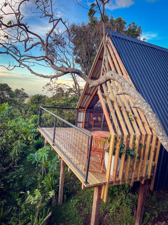 Casa 1800 Los Naranjos Boutique Hotel Экстерьер фото